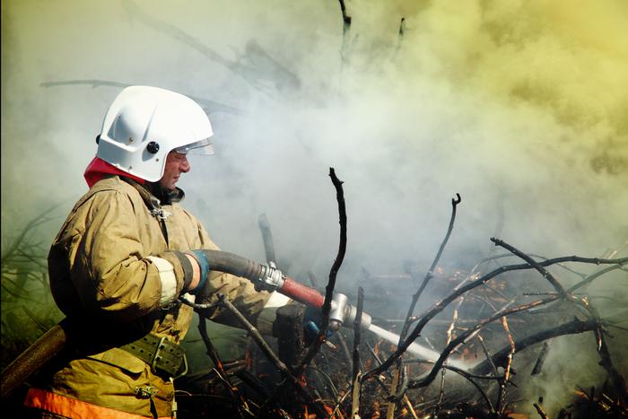 В Забайкальском крае из-за пожаров под угрозой была безопасность около 30 населённых пунктов