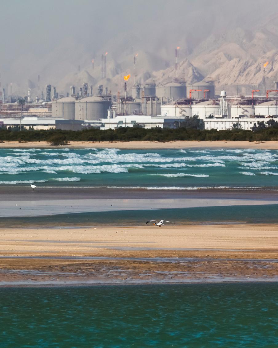 В ходе инцидента с топливом на юге Ирана пострадали более 1130 человек