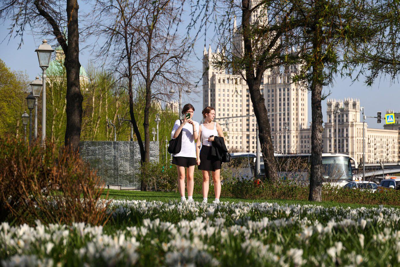 Москва пережила последние весенние заморозки