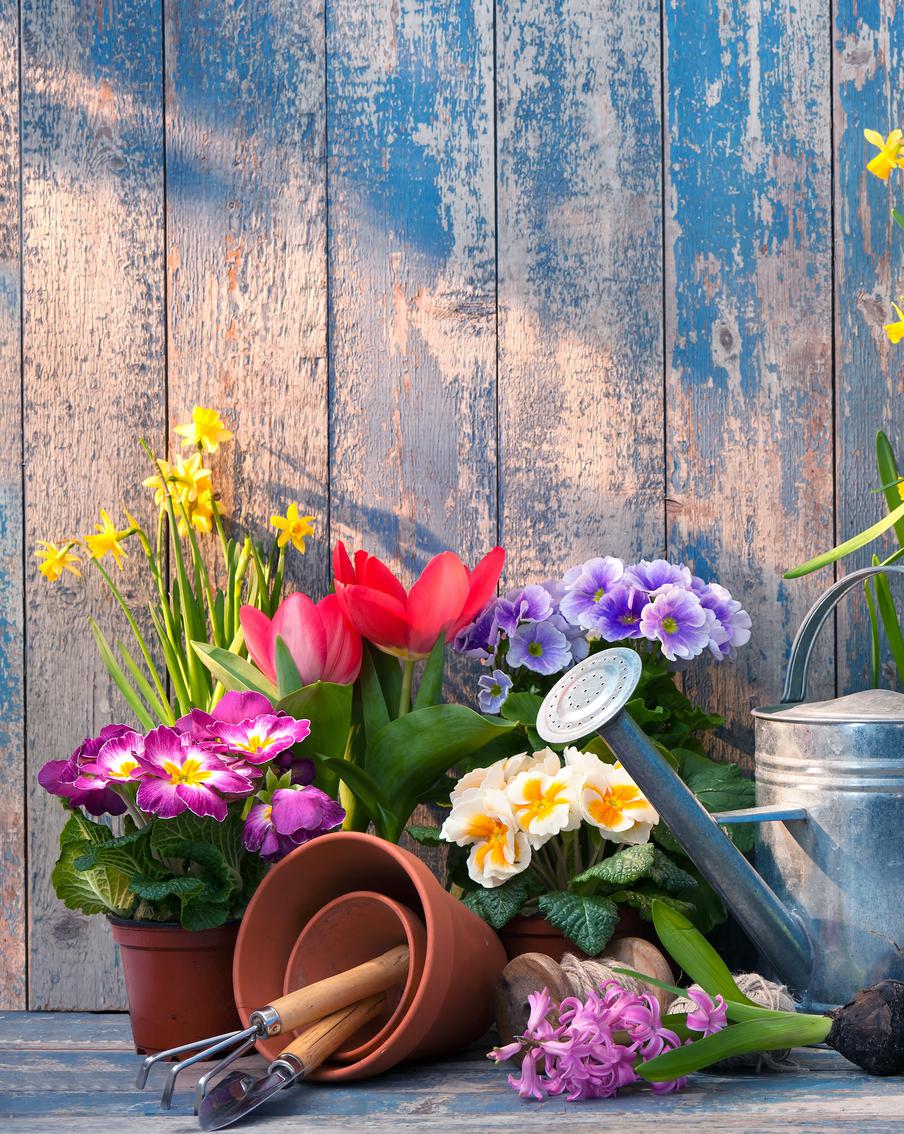 Как правильно подготовить садовый участок к лету: план работ и советы