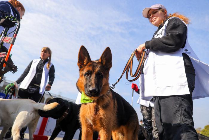 Посетители Северного речного вокзала смогут больше узнать о собаках-проводниках 1 мая