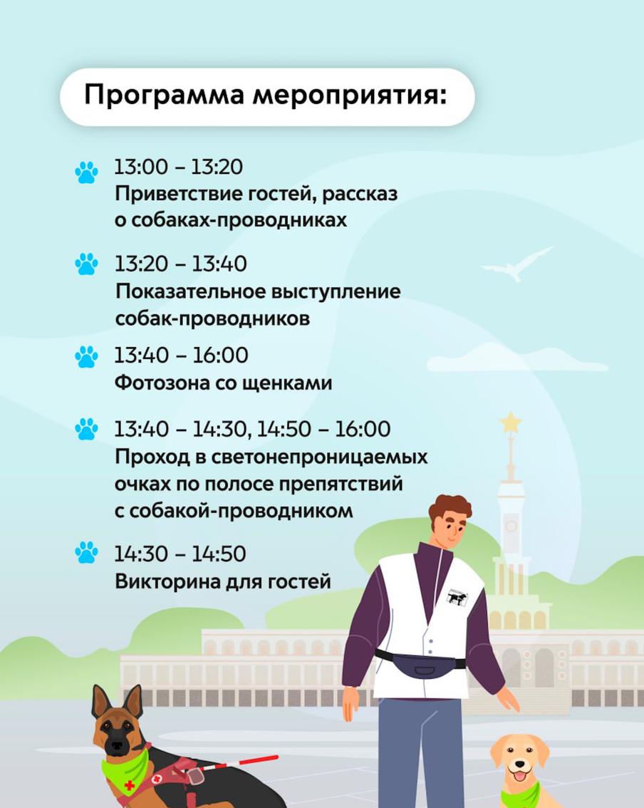 Программа мероприятий.