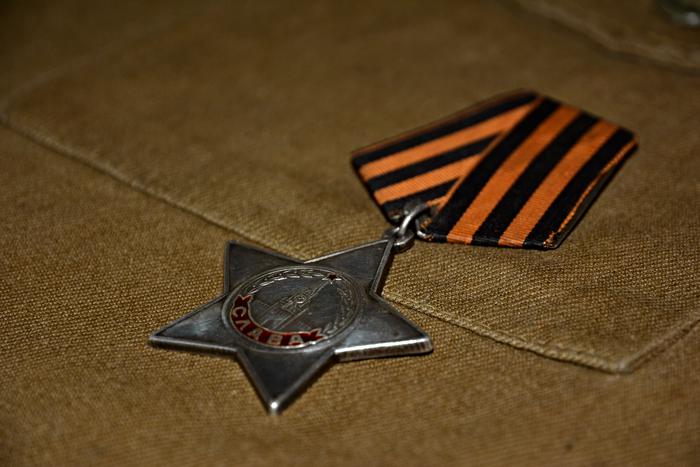 В Пензе ветераны заподозрили депутата Иванова в ношении чужих наград