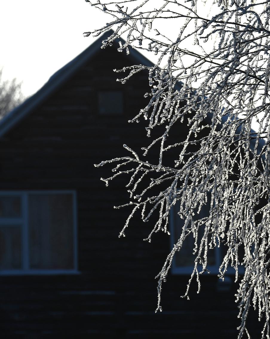 МЧС: В Подмосковье с 1 по 3 мая ожидаются заморозки до –6 °C