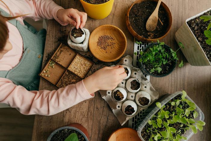 Выращиваем зелень дома: какие культуры выбрать и как за ними ухаживать
