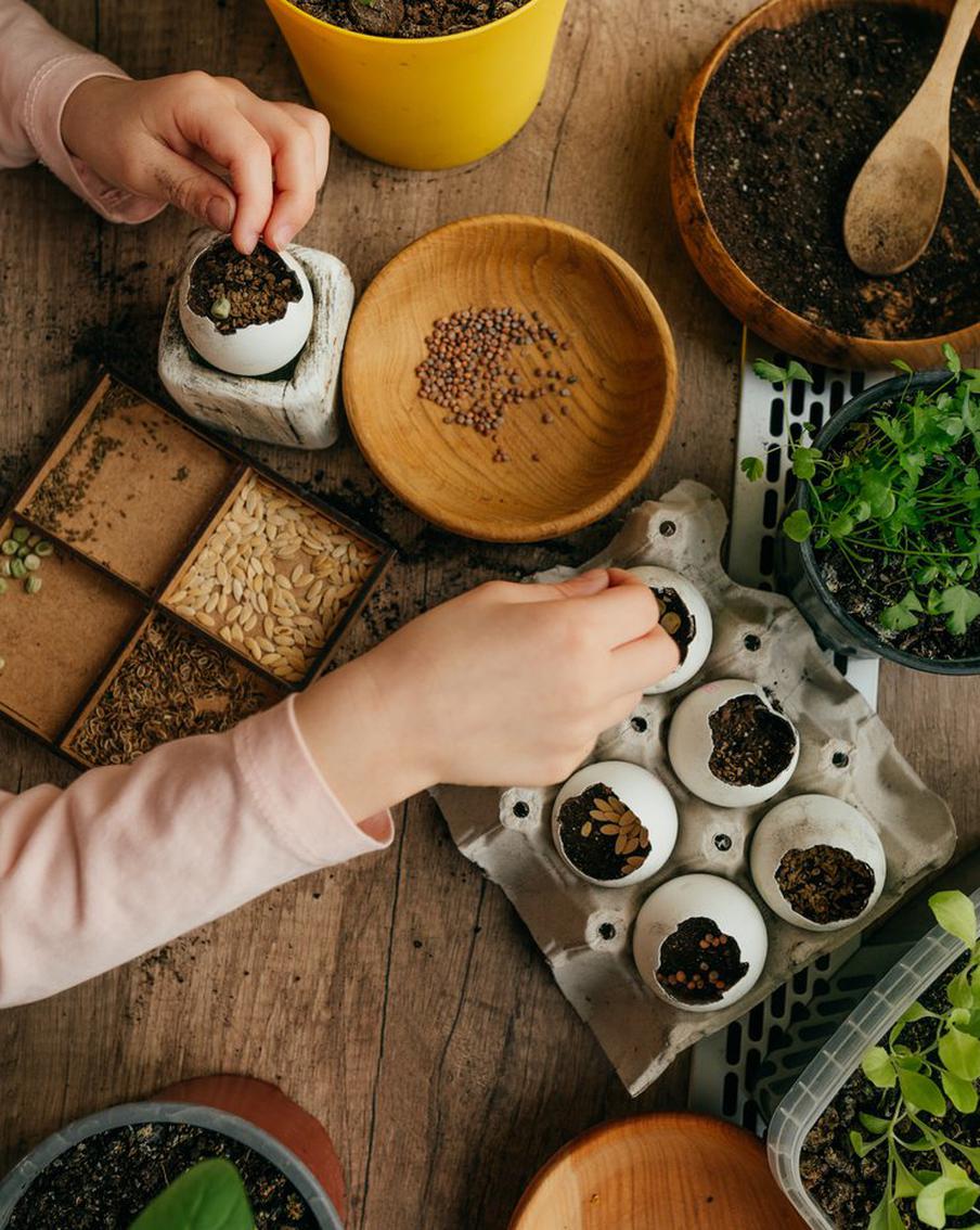 Выращиваем зелень дома: какие культуры выбрать и как за ними ухаживать