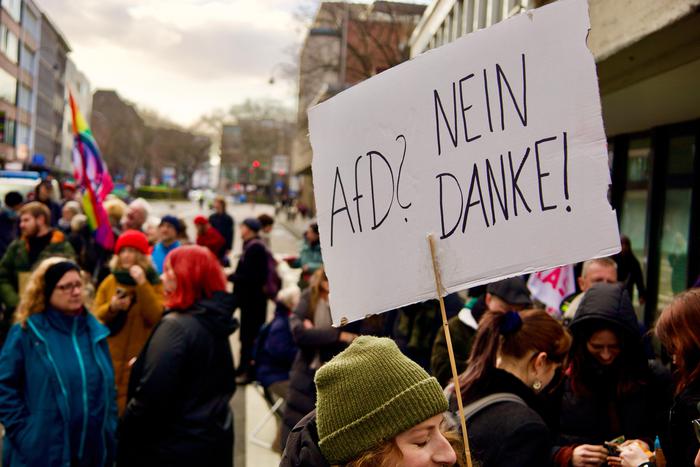 Немецкое население высказалось в поддержку возможного запрета в стране партии "Альтернатива для Германии"