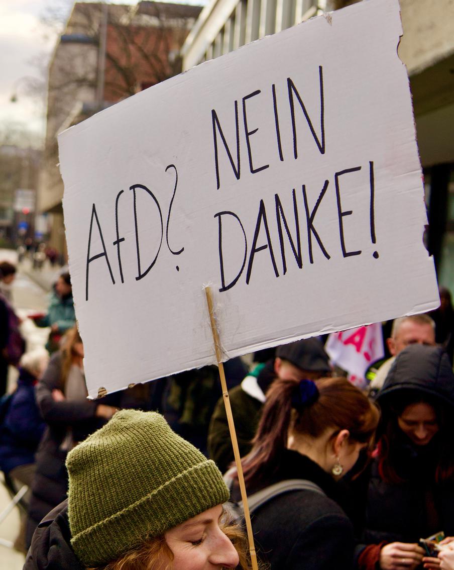 Немецкое население высказалось в поддержку возможного запрета в стране партии "Альтернатива для Германии"