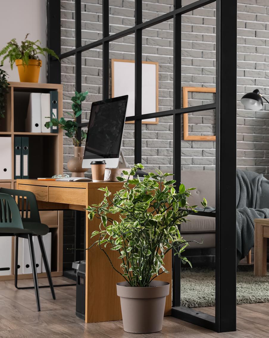 Как зонировать квартиру со вкусом: практичные советы от дизайнера