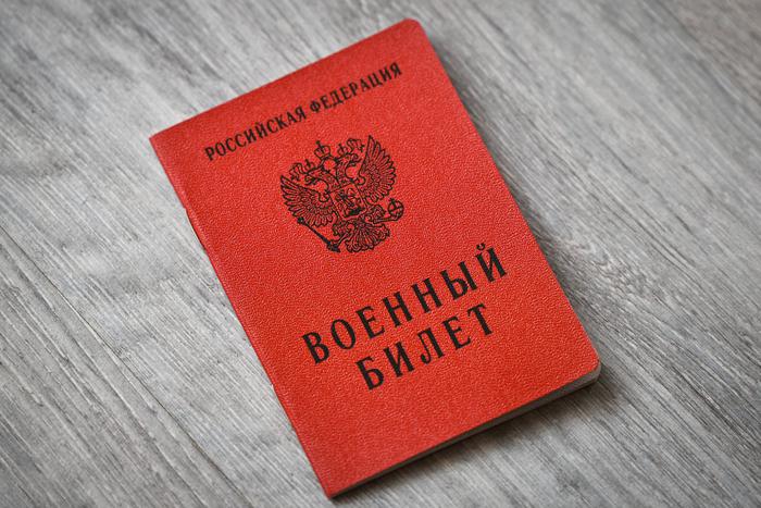 Подлежащие военной службе граждане России теперь могут получить электронную повестку в соответствующем реестре