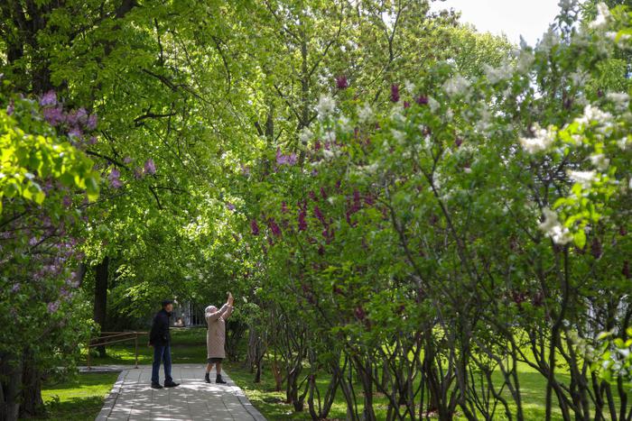 "Мы уже можем наблюдать климатические изменения": что климатолог сказал об изменениях в погоде Москвы