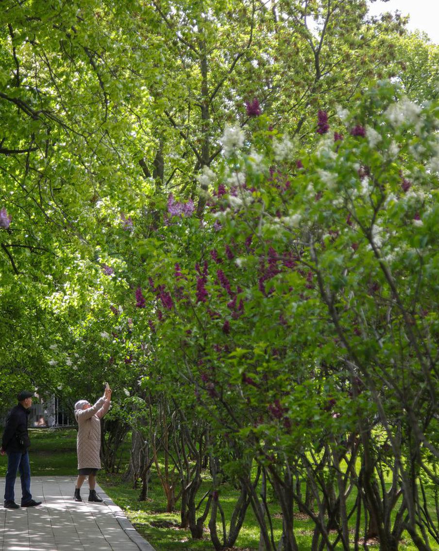 "Мы уже можем наблюдать климатические изменения": что климатолог сказал об изменениях в погоде Москвы