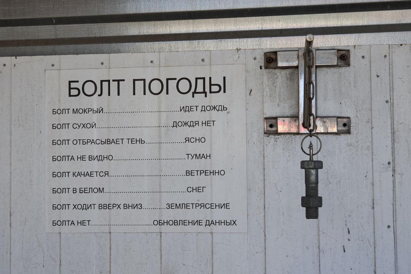 Посмотри на кошку, перед тем как выйти из дома: по каким приметам предсказывают погоду