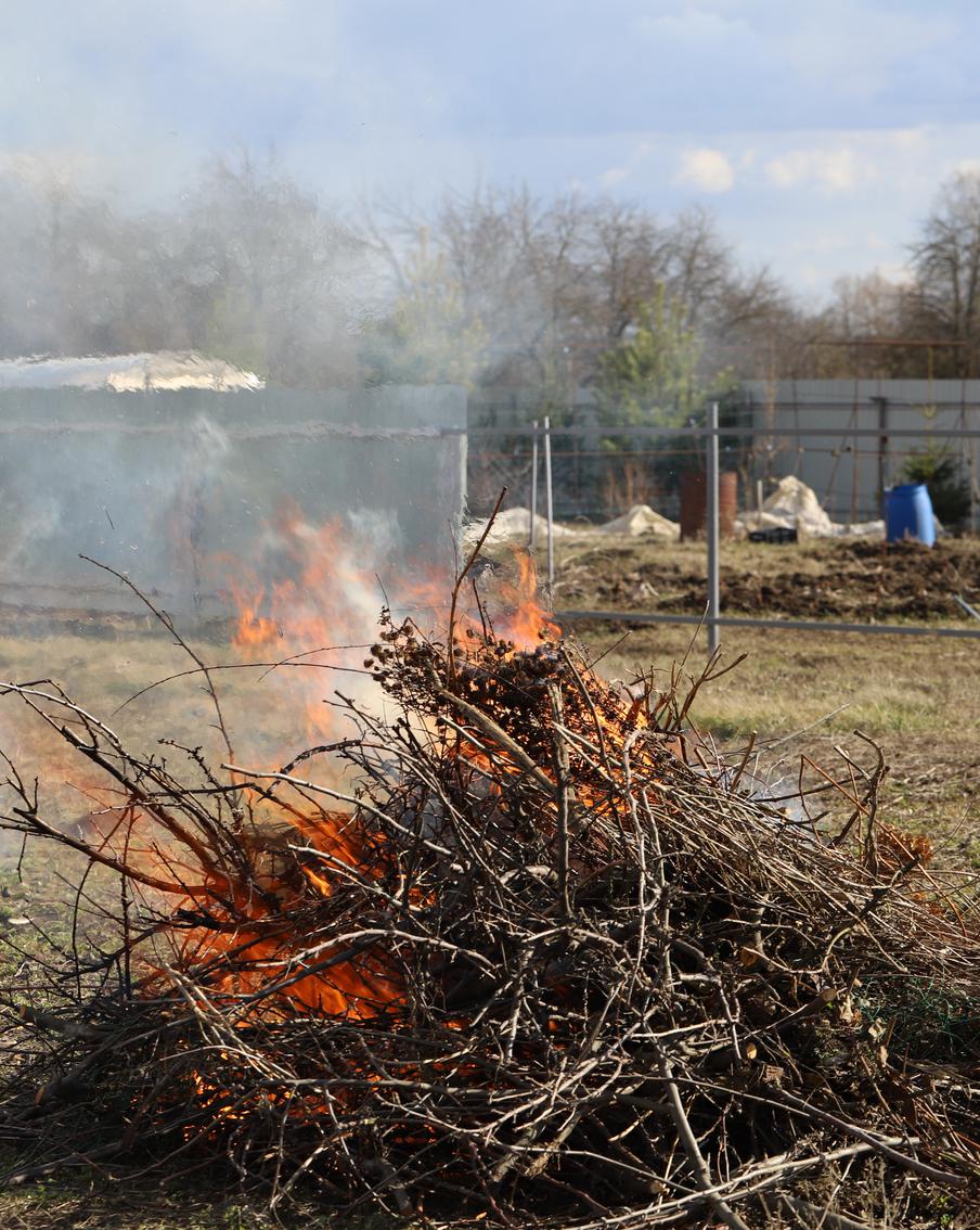 В МЧС запретили сжигать мусор на дачных участках