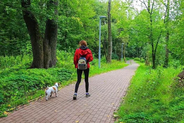 Почему важно выгуливать собак в наморднике и на поводке в парках Москвы