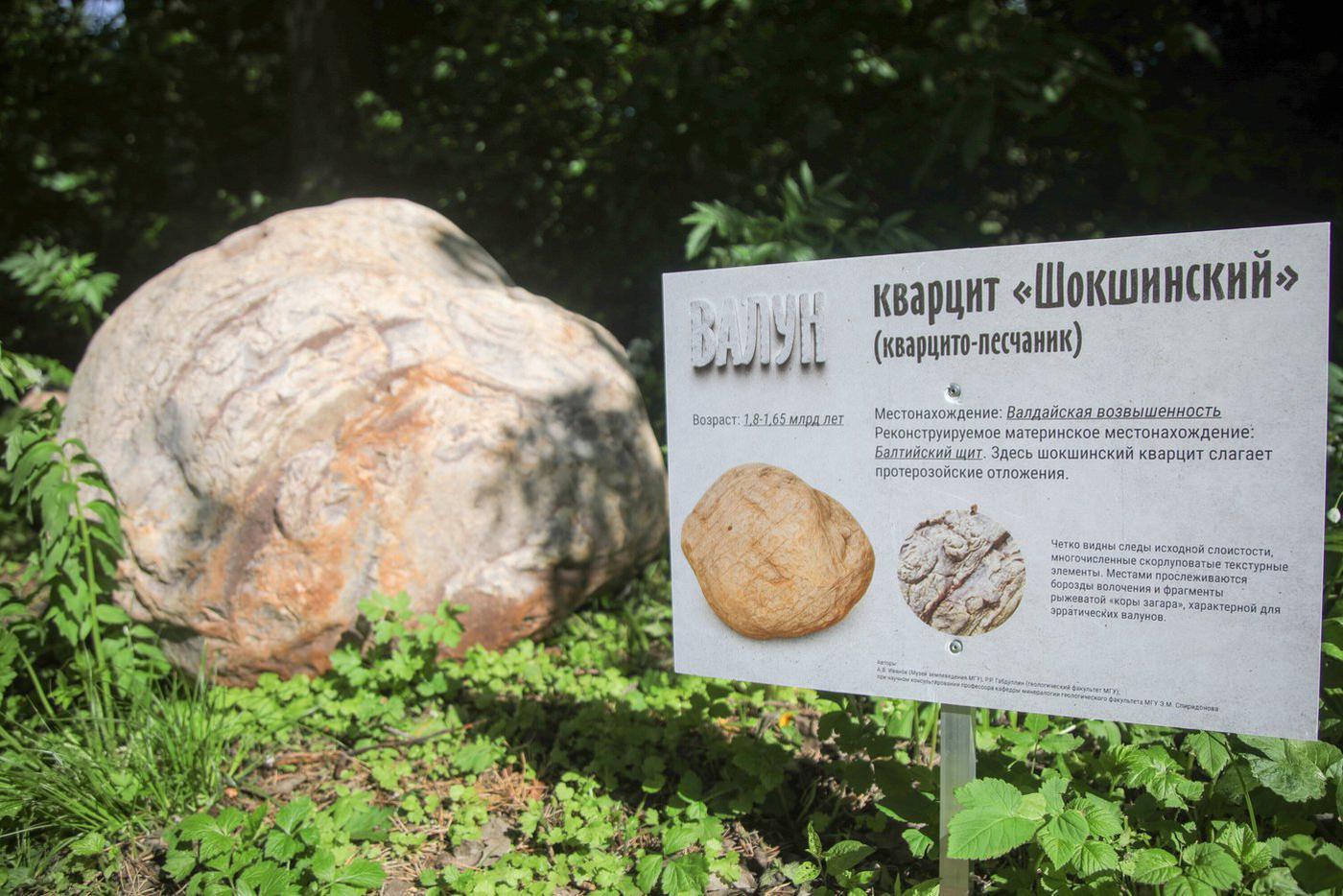 Выставка "Путём ледников".