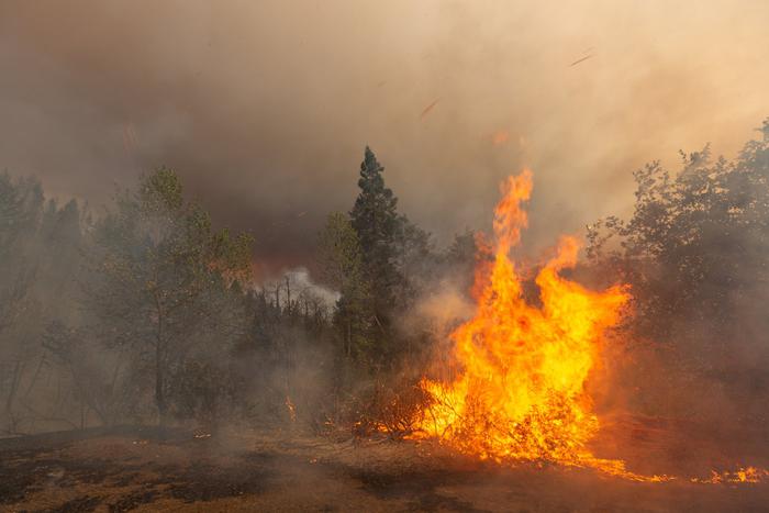 Авиалесоохрана: за сутки ликвидировано 33 лесных пожара в Российской Федерации