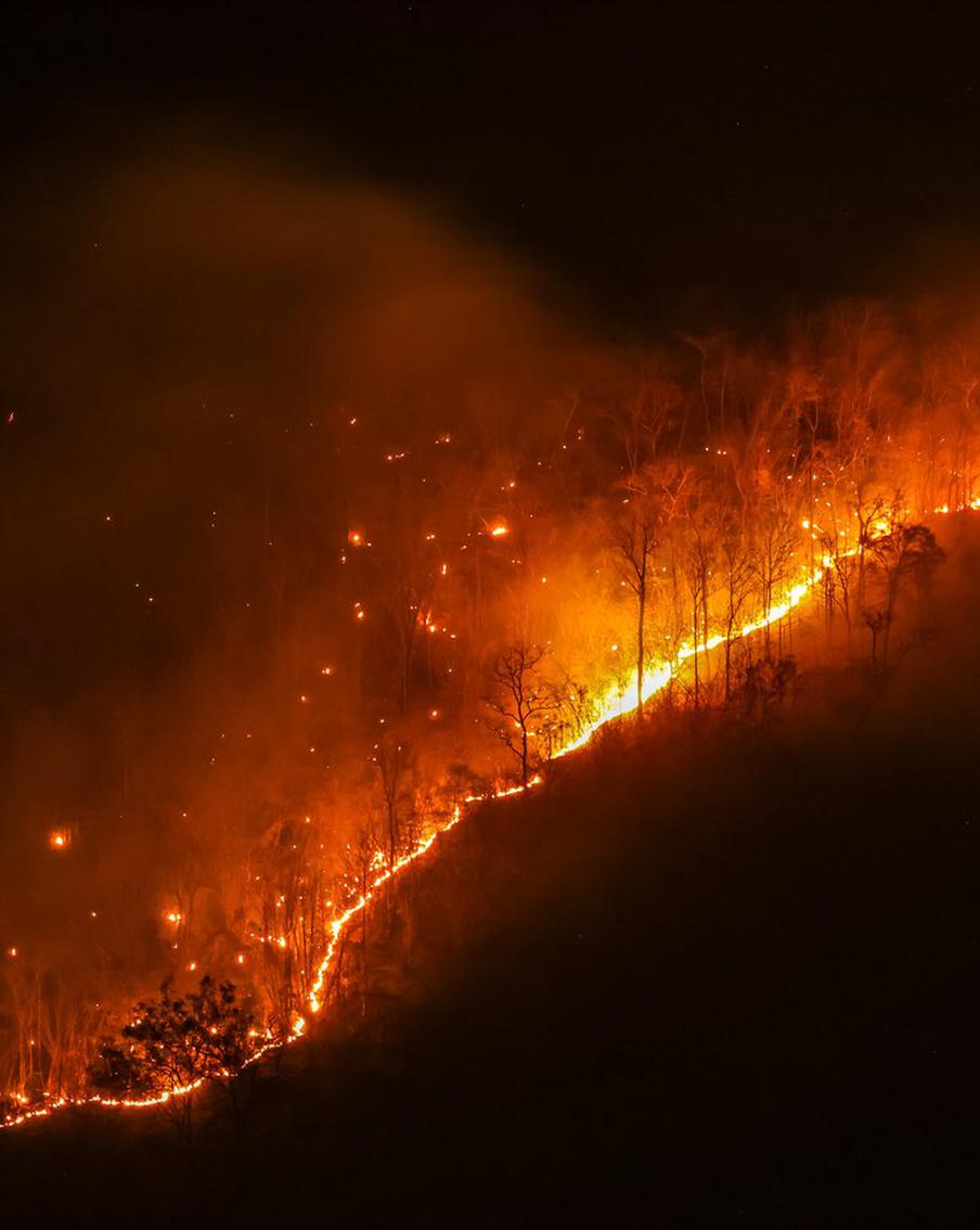 Авиалесоохрана назвала число природных пожаров, потушенных за сутки в России