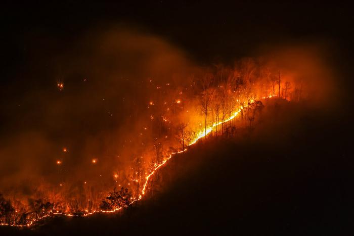 Авиалесоохрана назвала число природных пожаров, потушенных за сутки в России