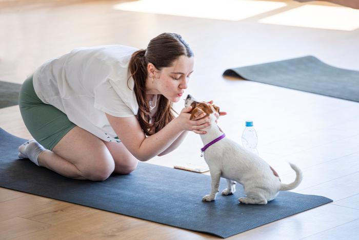 Паппи-йога: чем вредны занятия с щенками в спортивных студиях