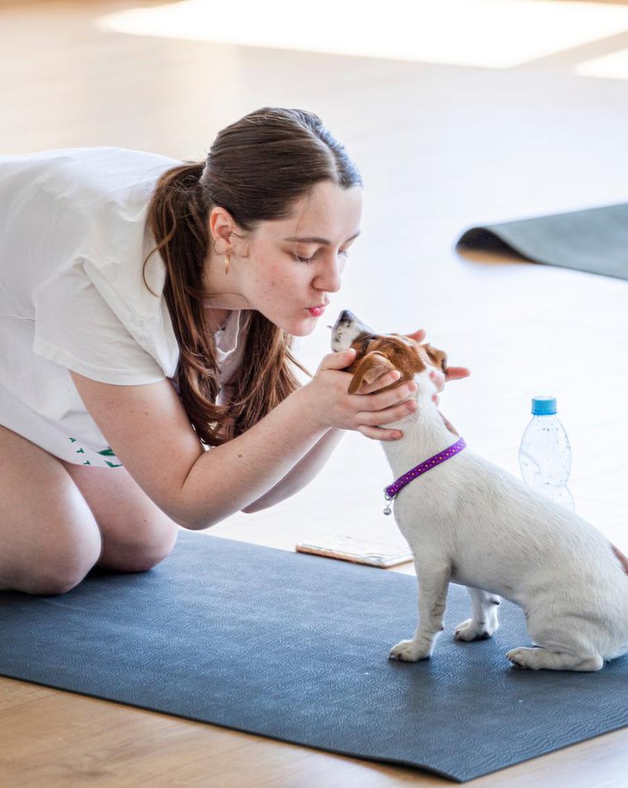 Паппи-йога: чем вредны занятия с щенками в спортивных студиях