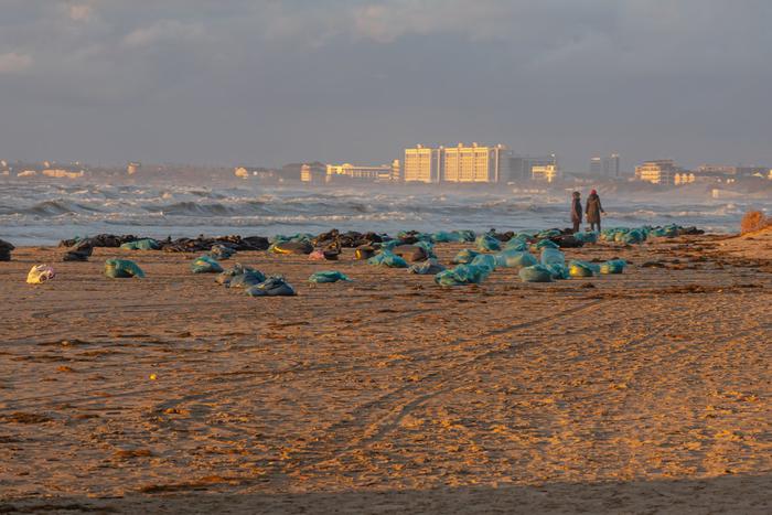 Российские туристы продолжают отдыхать в Анапе, несмотря на действующий запрет Роспотребнадзора