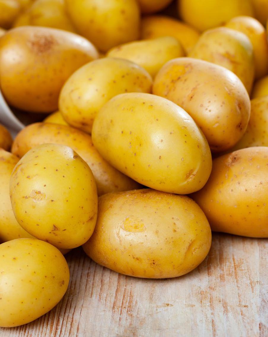 Путин удивился, услышав о проблемах с картошкой в Белоруссии