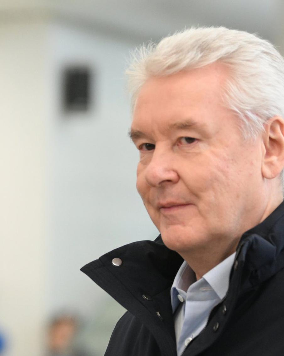 "Новый мост свяжет стрелку острова Балчуг и Репинский сквер", – мэр Москвы