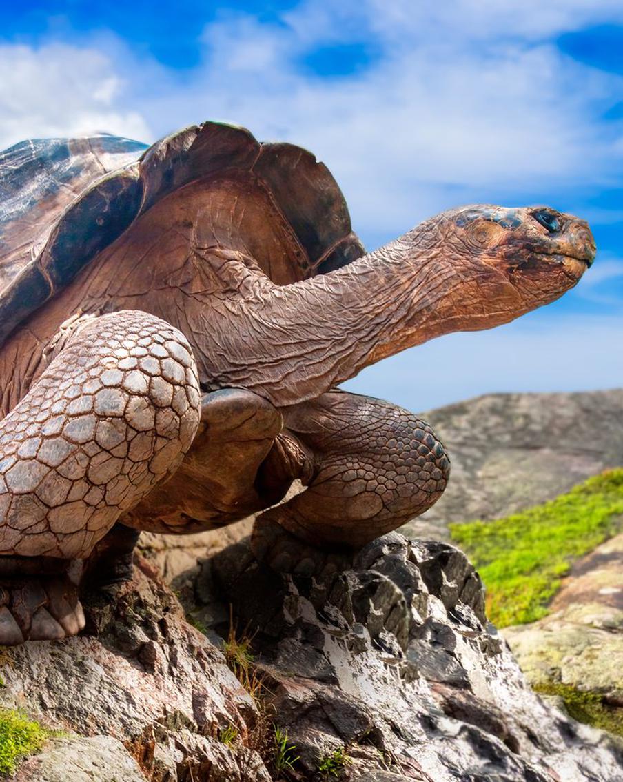 В каких туристических местах вы найдёте уникальную флору и фауну