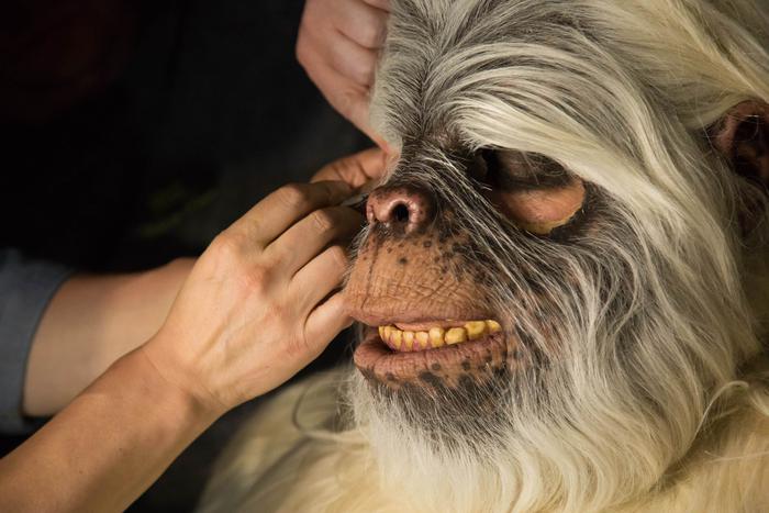 "Я думал, не доживу до конца съёмок": узнали, каково это – играть снежного человека