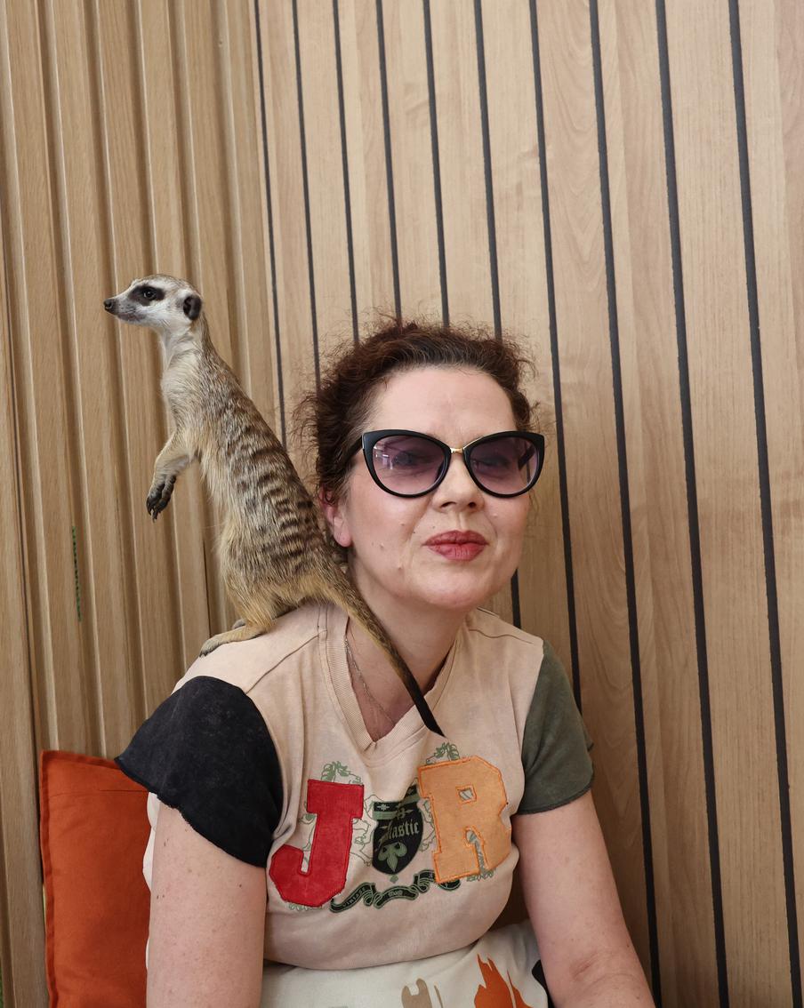 На Таганке открылось антикафе с дружелюбными сурикатами