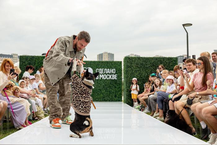 Кожаные косухи, панамы и квадратные бусы: в Москве по подиуму прошлись модные собаки