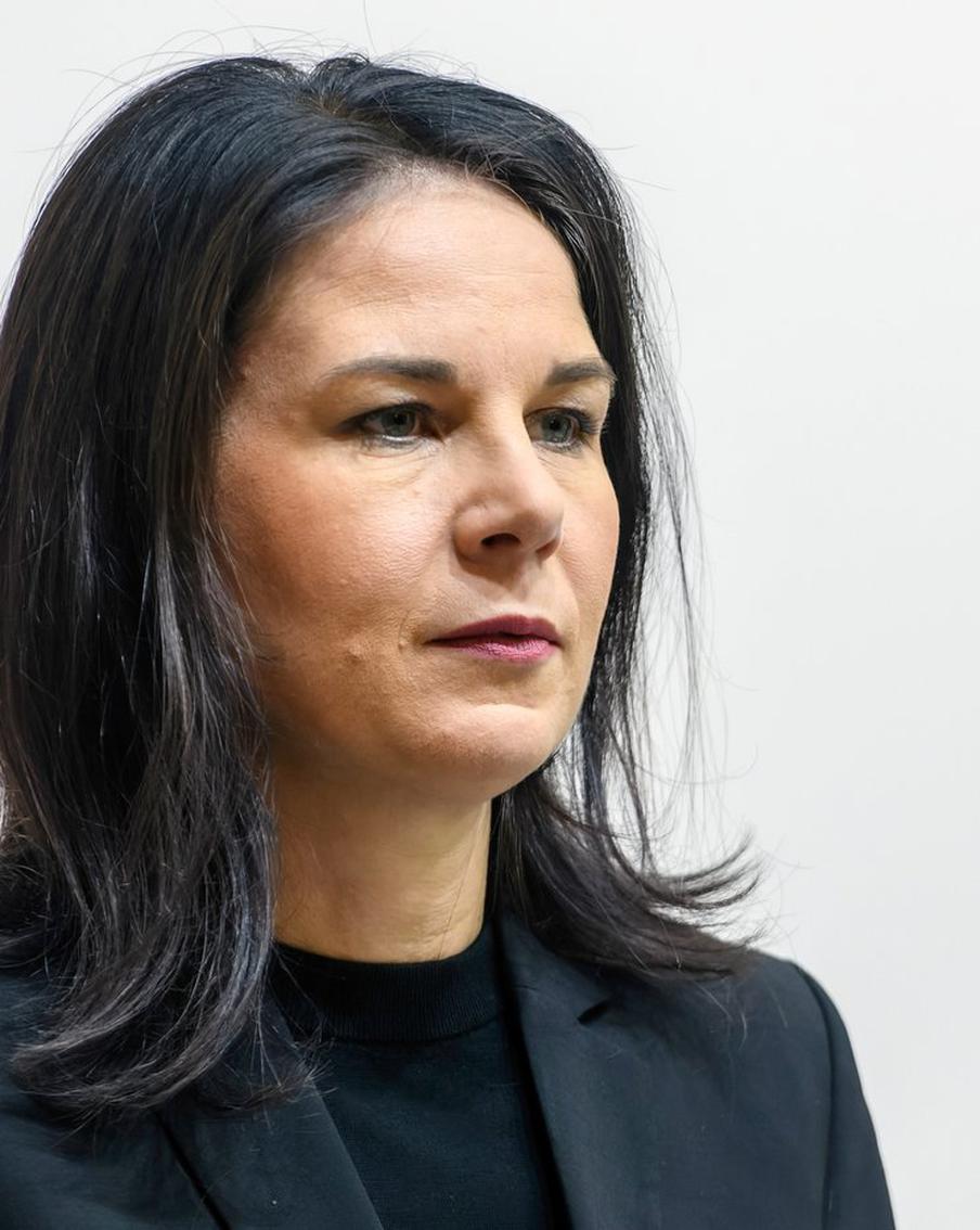 Стало известно, почему Российская Федерация настояла на голосовании по Бербок