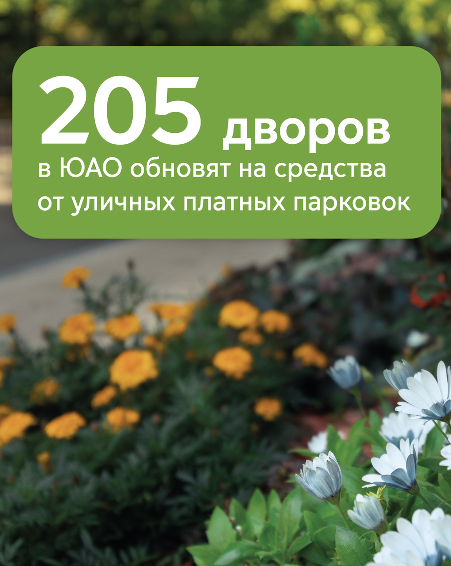 205 дворов на юге Москвы благоустроят на средства от оплаты уличных парковок