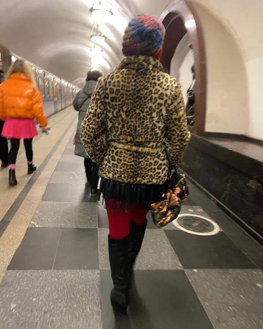 Охотники за леопардом подкараудивают его в метро