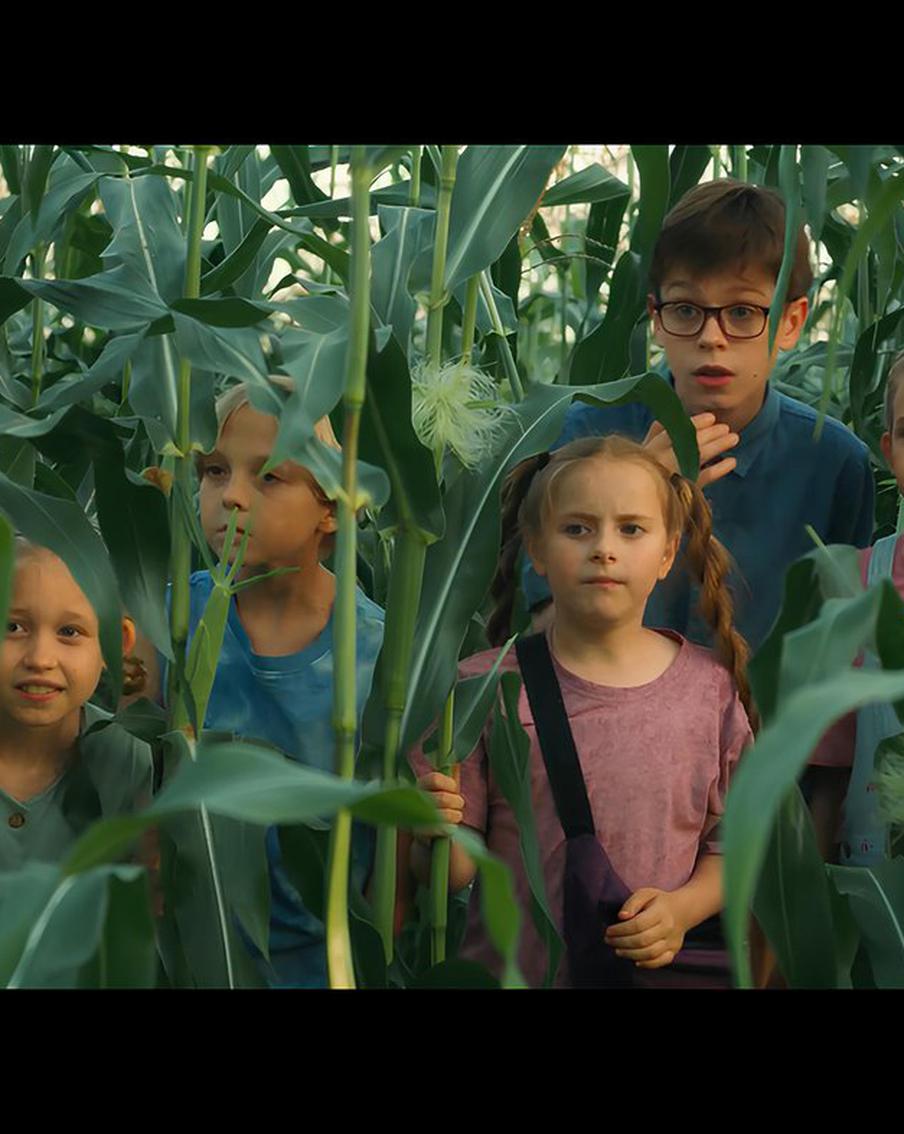 Дети объявляют войну Денису Шведову в комедии "Поле чудес"