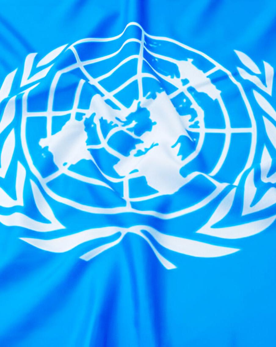 Российская Федерация вошла в состав ЭКОСОС ООН на 2026–2028 годы