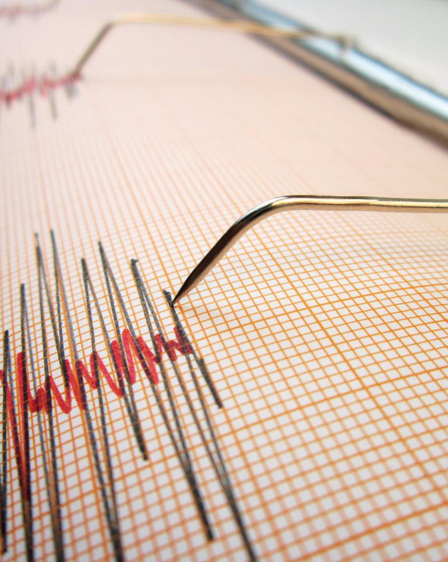 Магнитуда 4,6: толчки ощутили в селах Нарынской области Киргизии