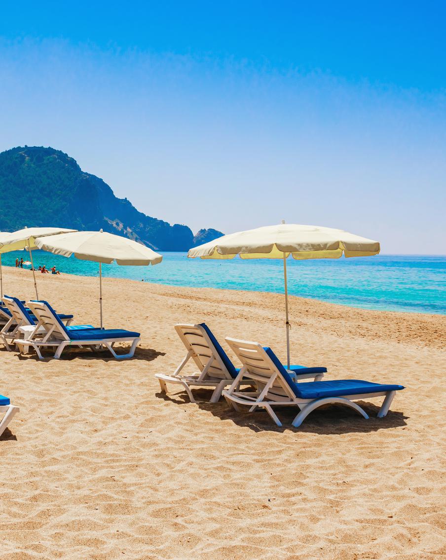 Банда обманувших туристов на 29 миллионов долларов преступников задержана в Турции