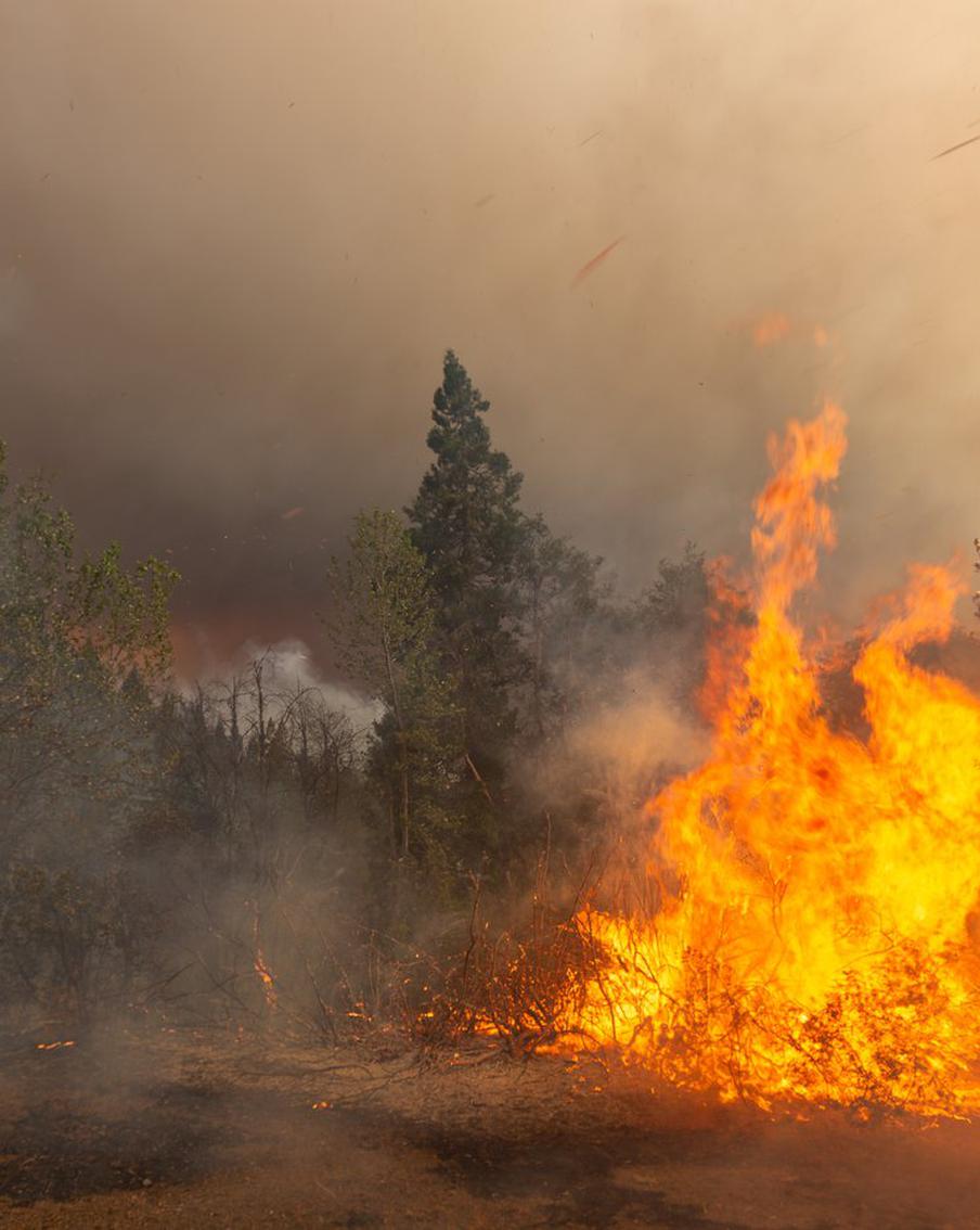 Авиалесоохрана: в РФ за сутки потушили 30 природных пожаров на площади 12 447 га