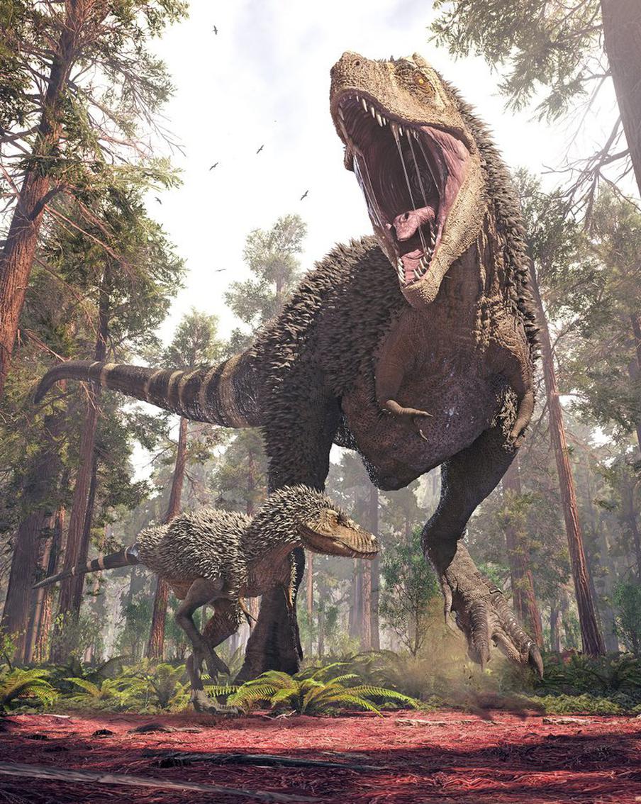Учёные обнаружили новый вид динозавров. Это дальний предок тирекса, и он – слабак