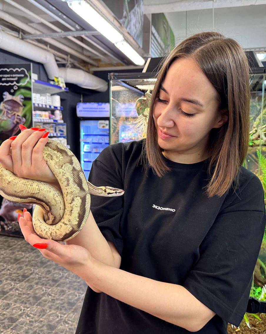 Metro узнало, во сколько обойдётся содержание змеи дома, а также к каким возможным ситуациям нужно готовиться
