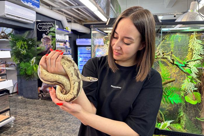 Metro узнало, во сколько обойдётся содержание змеи дома, а также к каким возможным ситуациям нужно готовиться