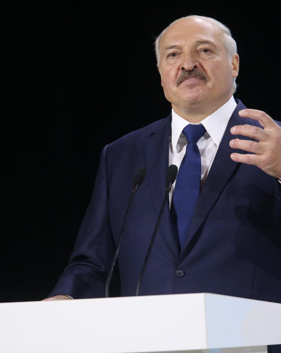 Александр Лукашенко назвал ситуацию с гибелью скота в Беларуси критической