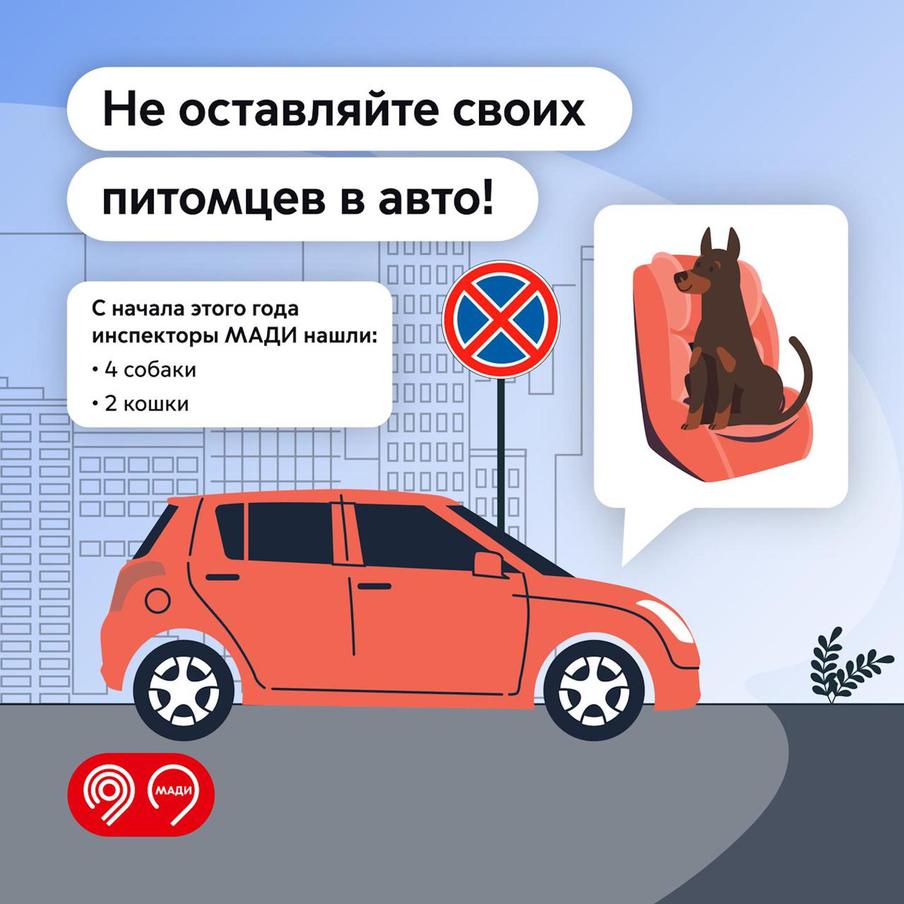 Инспекторы МАДИ призвали водителей не оставлять животных в припаркованных авто