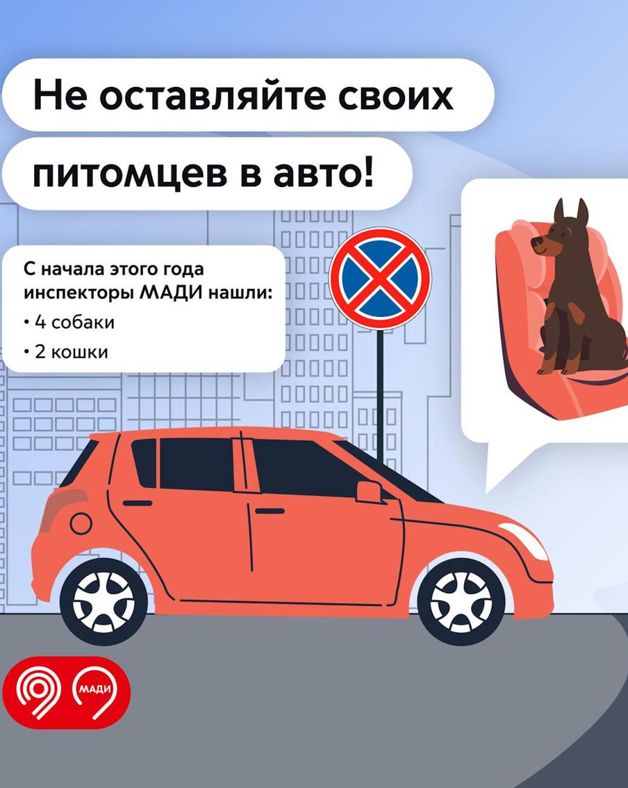 Инспекторы МАДИ призвали водителей не оставлять животных в припаркованных авто