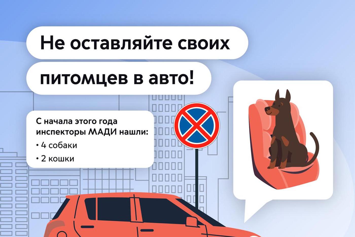 Инспекторы МАДИ призвали водителей не оставлять животных в припаркованных авто