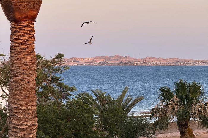 Туристический поток в ОАЭ и Египет: как конфликт на Ближнем Востоке влияет на направление и когда ждать восстановления