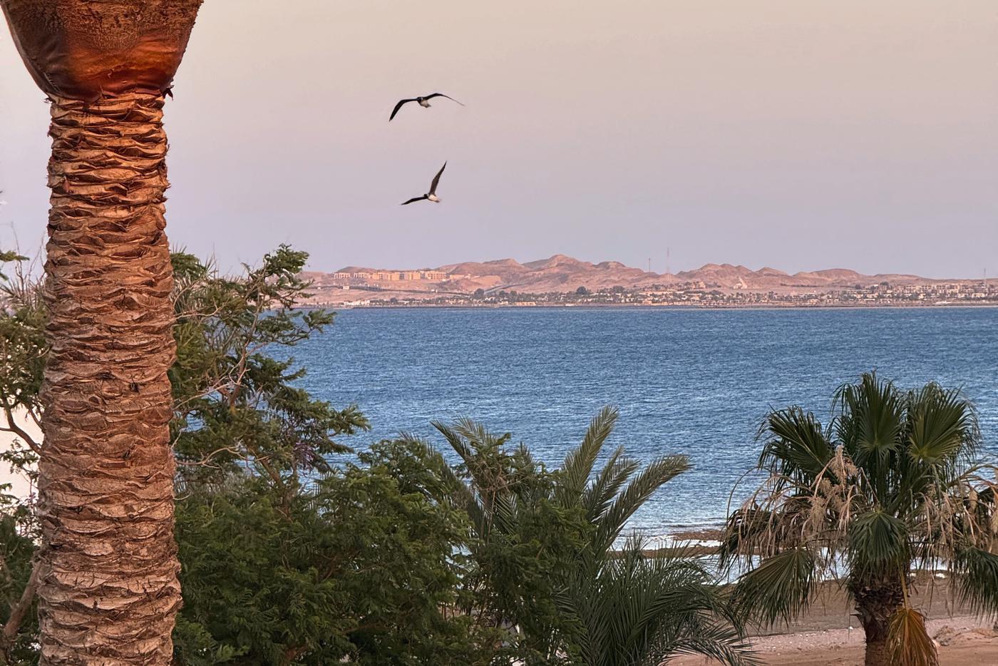 Туристический поток в ОАЭ и Египет: как конфликт на Ближнем Востоке влияет на направление и когда ждать восстановления