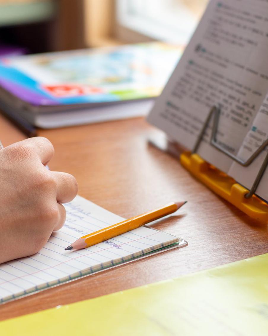 Учебный план в школах станет единым: Минпросвещения утвердило новые нормы